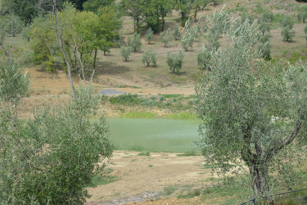 Podere Delle Fanciulle Pistoia Exteriör bild