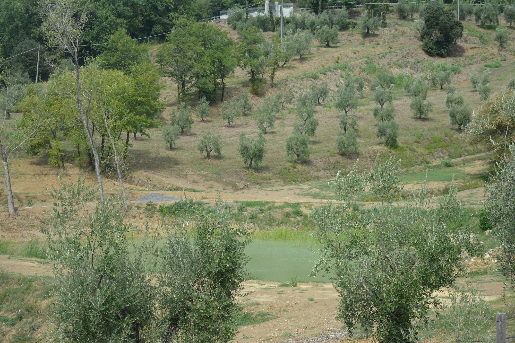 Podere Delle Fanciulle Pistoia Exteriör bild
